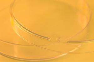 西ばやし歯科のインプラント治療