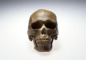 東京都中野区の歯医者をご紹介します