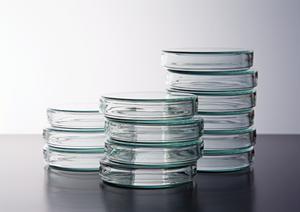 忘れの相談は心療内科を受診しよう